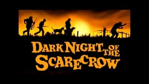 Dark Night of the Scarecrow (1981)