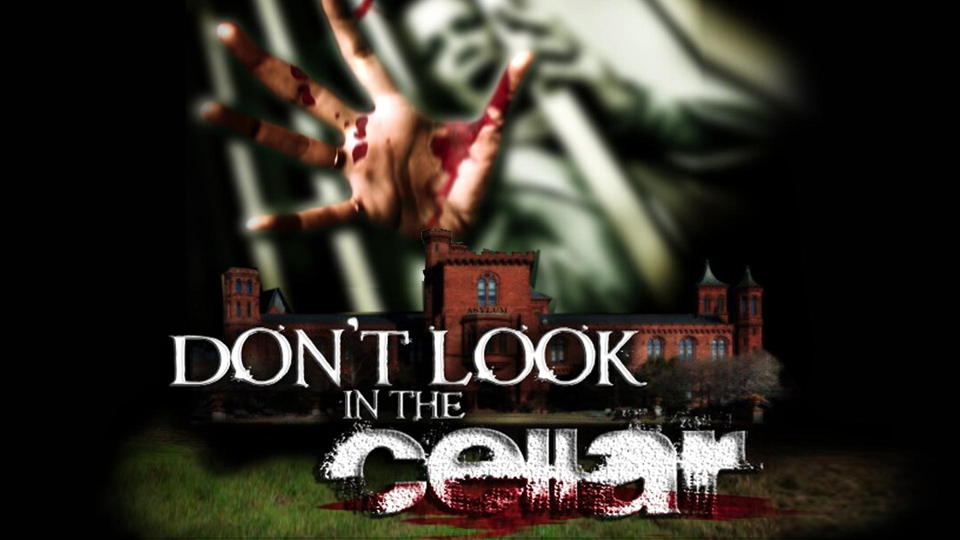 Don't Look in the Cellar (2008)