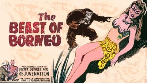 The Beast of Borneo (1934)